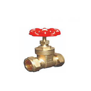 Brass-conex-gate-valve