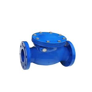 Cast-iron-non-return-valve