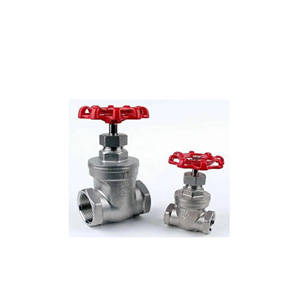 Stainless-steel-female-gate-valve