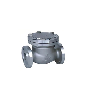 Stainless-steel-flanged-non-return-valve